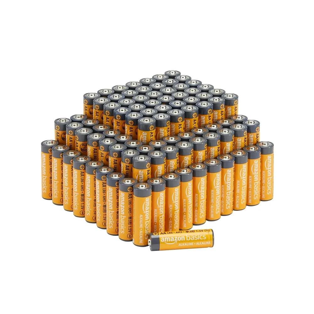 AA Battery 100-Pack