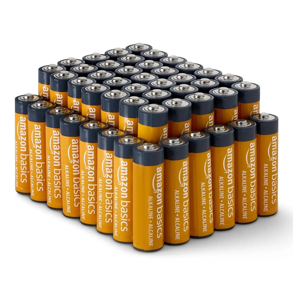 AA Alkaline Batteries 48-Pack
